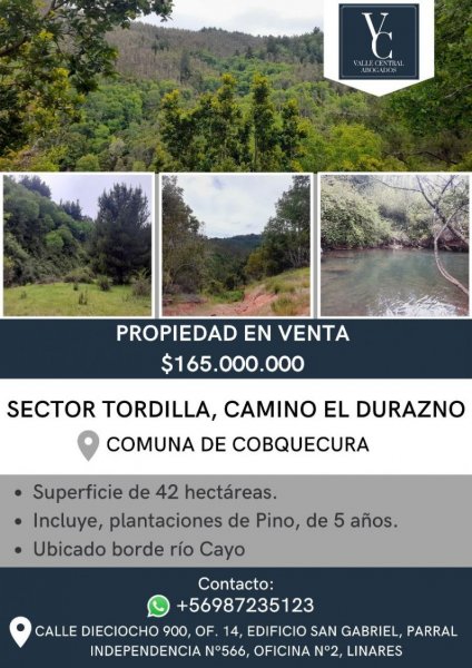 Terreno en Venta en  Quirihue, Ñuble