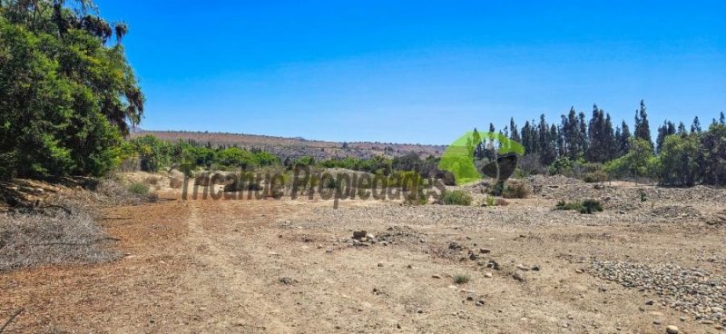 Terreno en Venta en Rural San Julián, Limari