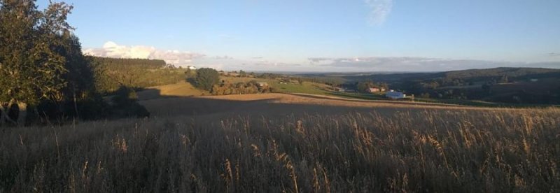 Agricola en Venta en  Fresia, Llanquihue