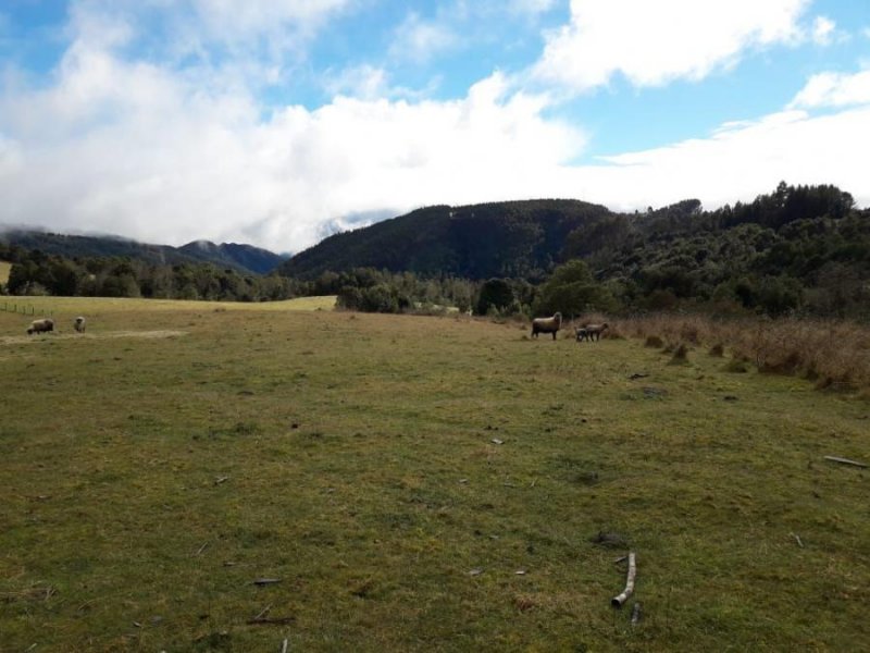 Agricola en Venta en  Fresia, Llanquihue