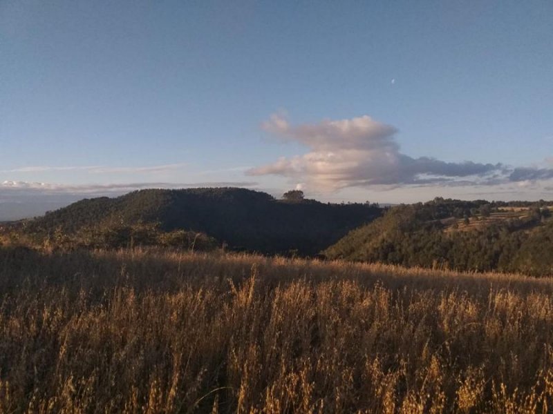 Terreno en Venta en Sector Las Cuyas, Fresia, Llanquihue