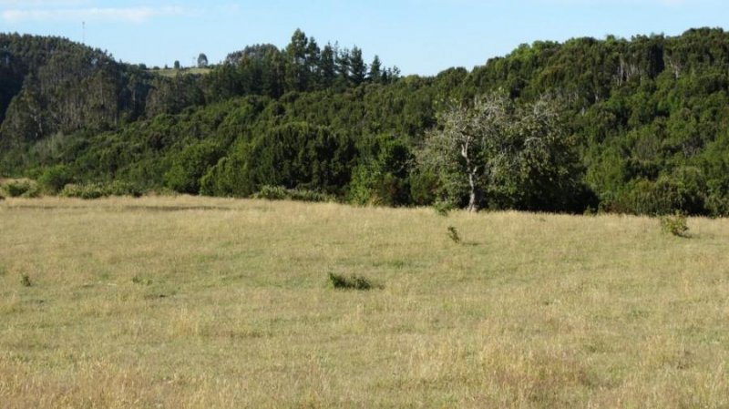 Agricola en Venta en  Fresia, Llanquihue