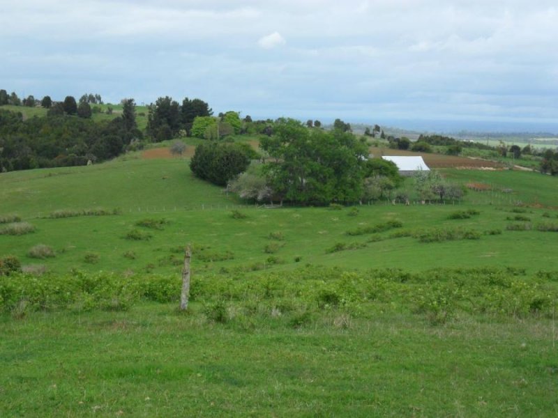 Agricola en Venta en  Fresia, Llanquihue