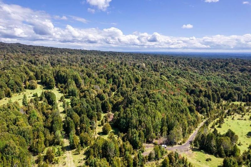 Parcela en Venta en  Puerto Varas, Llanquihue