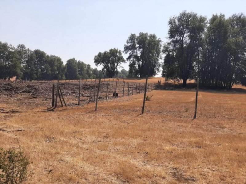 Terreno en Venta en Quilaco Quilaco, Biobio