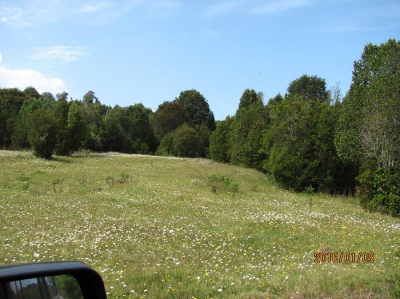 Terreno en Venta en Sector Volcán Calbuco Puerto Varas, Llanquihue