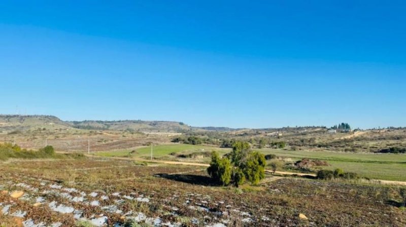 Agricola en Venta en  Litueche, Cardenal Caro