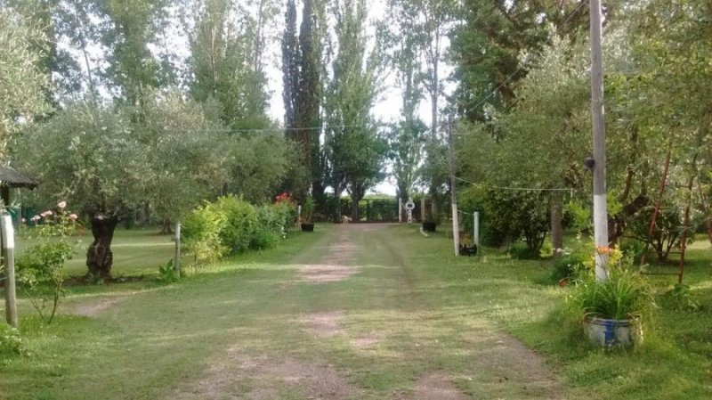 Agricola en Venta en Maipú Mendoza - Rca. Argentina, Cordillera