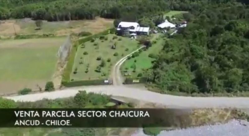 Foto Parcela en Venta en chaicura, Península de Lacuy, Chiloe - $ 150.000.000 - PAV84135 - BienesOnLine