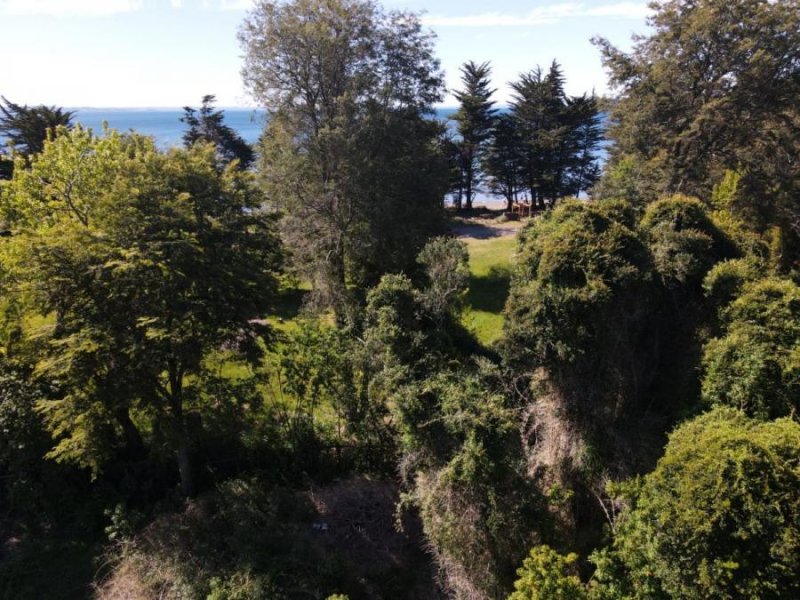 Parcela en Venta en Playa Niklitschek Puerto Varas, Llanquihue