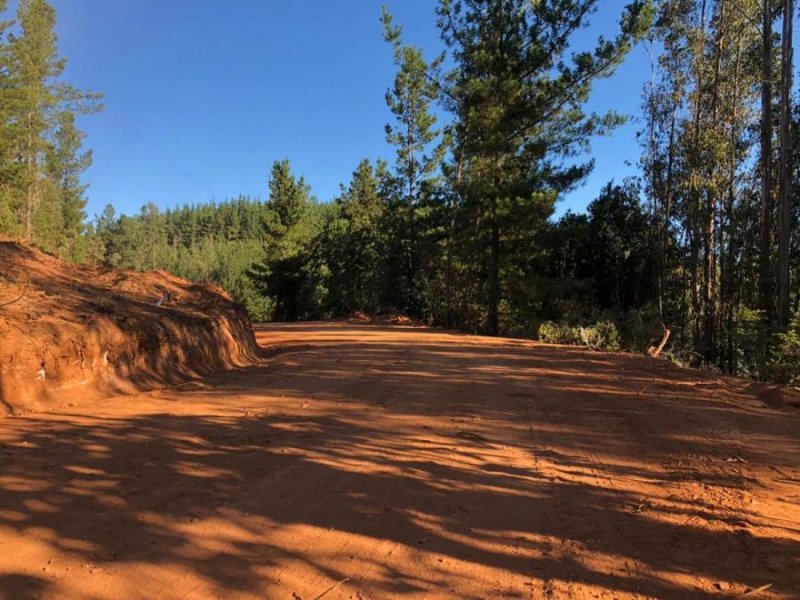 Terreno en Venta en  Pichilemu, Cardenal Caro