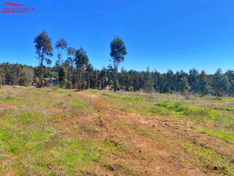 Parcela en Venta en  San Nicolás, Ñuble