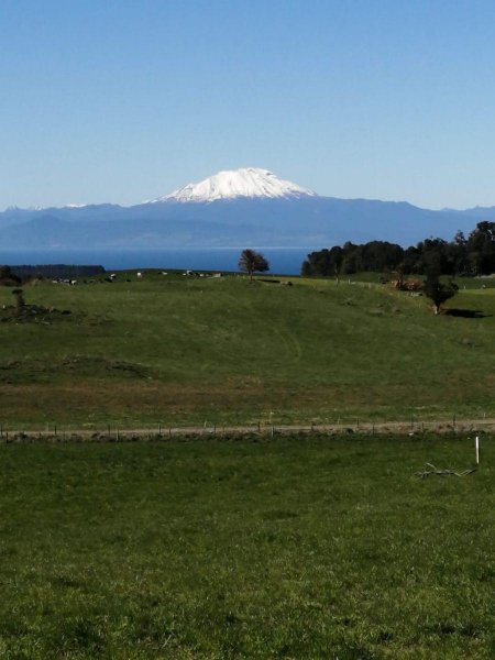 Foto Parcela en Venta en Camino Los Bajos Frutillar, Frutillar, Llanquihue - UFs 2.350 - PAV130023 - BienesOnLine