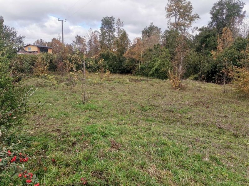 Terreno en Venta en CHANCOYAN ALTO Valdivia, Valdivia