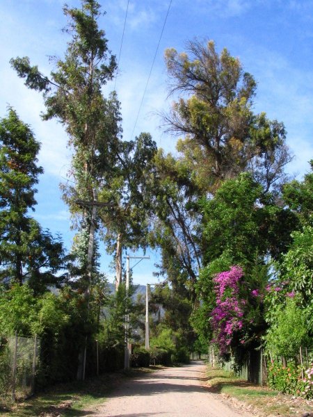 Parcela en Venta en Isla de Maipo Isla de Maipo, Talagante