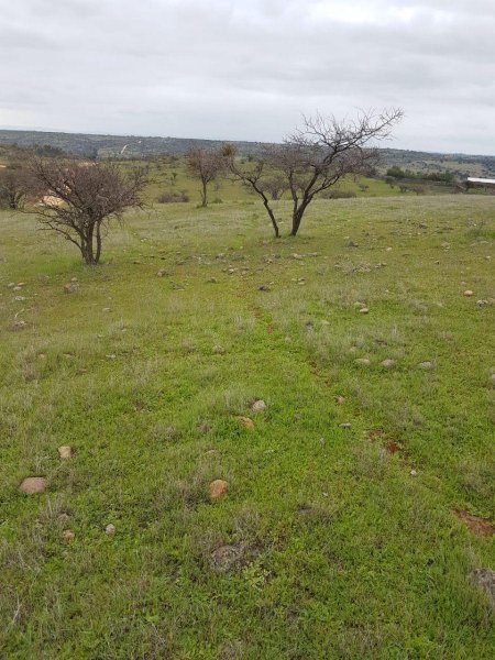 Terreno en Venta en  La Estrella, Cardenal Caro