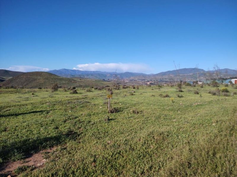 Parcela en Venta en SECTOR DEL ROMERO La Serena, Elqui