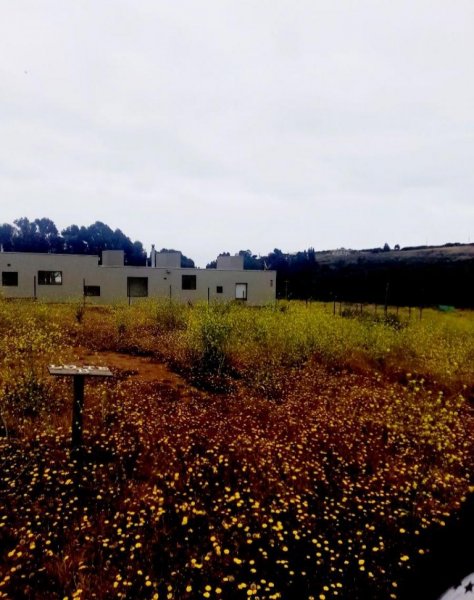 Terreno en Venta en Sector Mirador de  Santa Luisa Quintero, Valparaiso