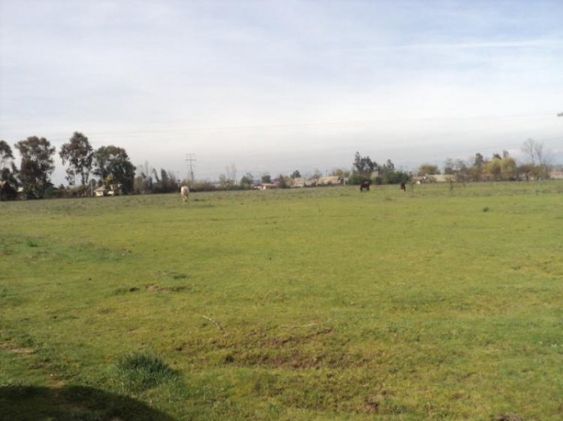 Foto Terreno en Venta en Talca, Talca - UFs 51.300 - TEV14585 - BienesOnLine